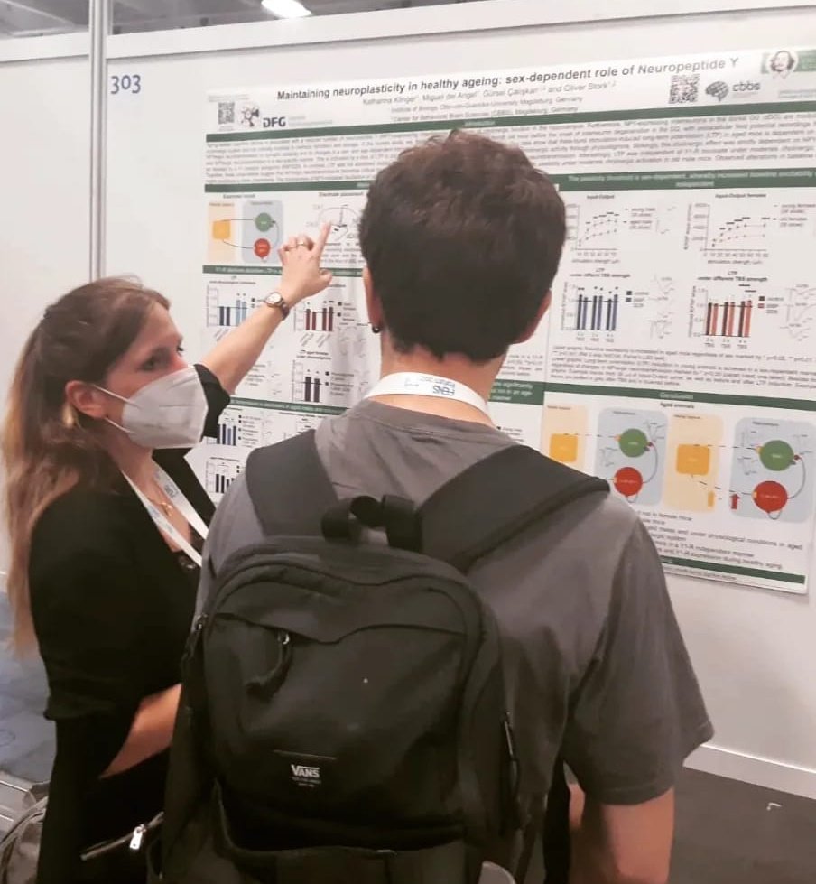 RTG2413SynAGE's tweet photo. Other pics from #SynAGE at #FENS2022:

Katharina Klinger presenting her poster on #healthyaging #sexdifferences and #neuropeptideY (NPY) https://t.co/3AAMglN4uY