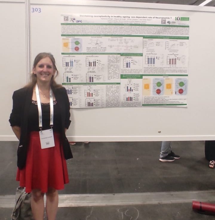 RTG2413SynAGE's tweet photo. Other pics from #SynAGE at #FENS2022:

Katharina Klinger presenting her poster on #healthyaging #sexdifferences and #neuropeptideY (NPY) https://t.co/3AAMglN4uY