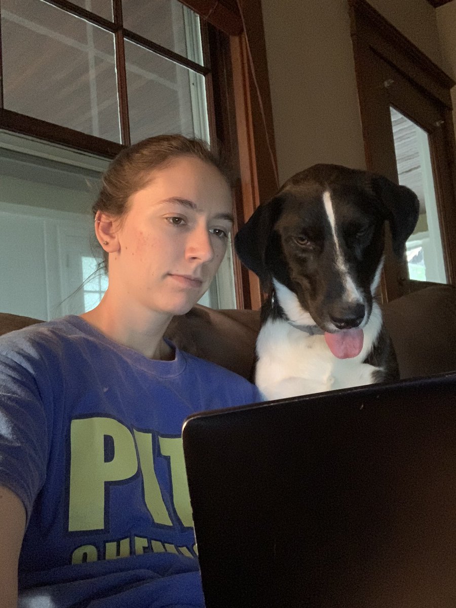 GarwickR's tweet photo. Callie helping me out with my lit presentation for our group meeting this Friday, she approves so far but I’m sure I’ll need a couple of rounds of edits before I get her final approval https://t.co/dsr89B4ClK
