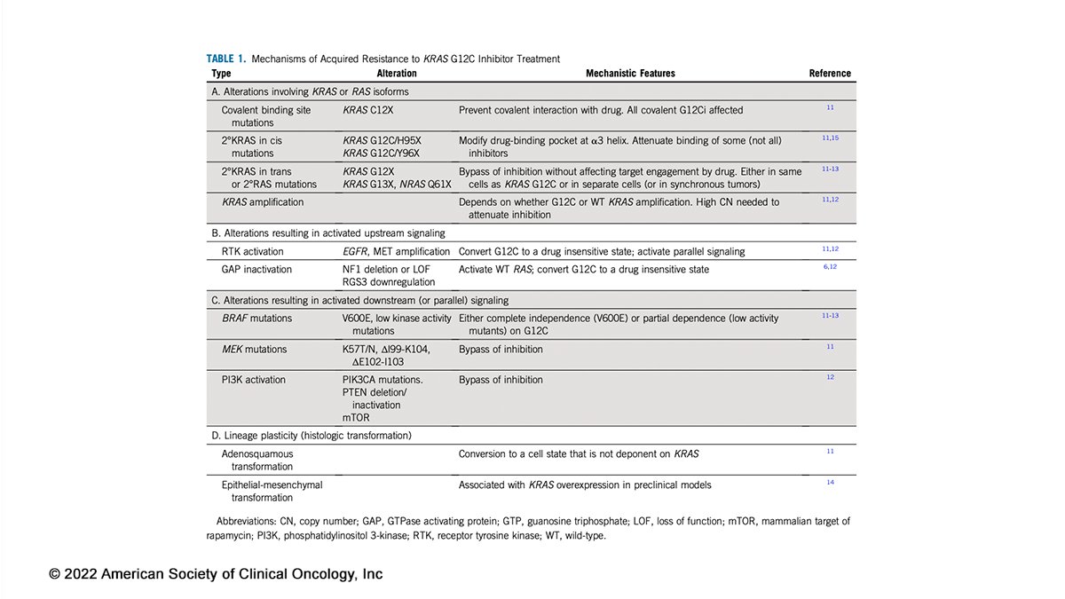 JCO_ASCO's tweet photo. 🧐 #JCO #UnderstandingThePathway: Expanding the Arsenal of Clinically Active KRAS G12C Inhibitors ➡️ https://t.co/xsg5ZHLSQH #LCSM #CRCSM @KCArbourMD https://t.co/tGEk0Cy5dh