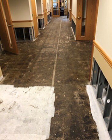 Commercial Flooring tweet media