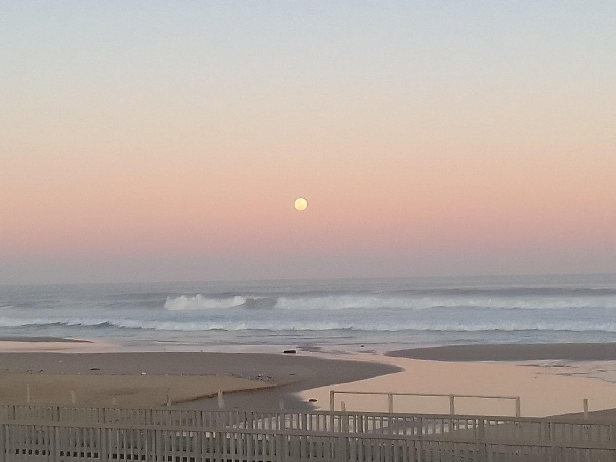 Mndeni Zulu (@mndenizulu8) on Twitter photo 