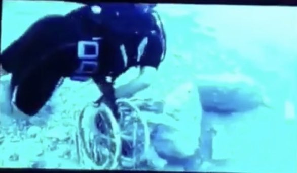 Env_life's tweet photo. يعتمد الكثير من سكان 🌍 في غذائهم على الكائنات البحرية 🐠 🦞🐳
سلامة #البيئة_البحرية 🌊 من #التلوث 
ضمان لتكون السلسلة الغذائية البحرية خالية من ترسبات المعادن الثقيلة والبلاستيك

#صور ضمن مبادرات مجتمعية لتنظف الأعماق وهي ركيزة ترميم الشُعب المرجانية وتنمية الموائل البحرية
#تبوك https://t.co/x4qlbrQsyR