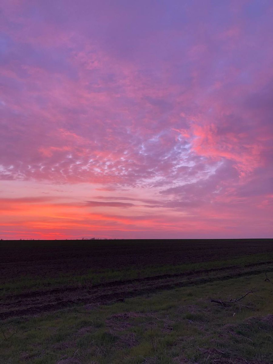 Stand with Ukraine tweet media