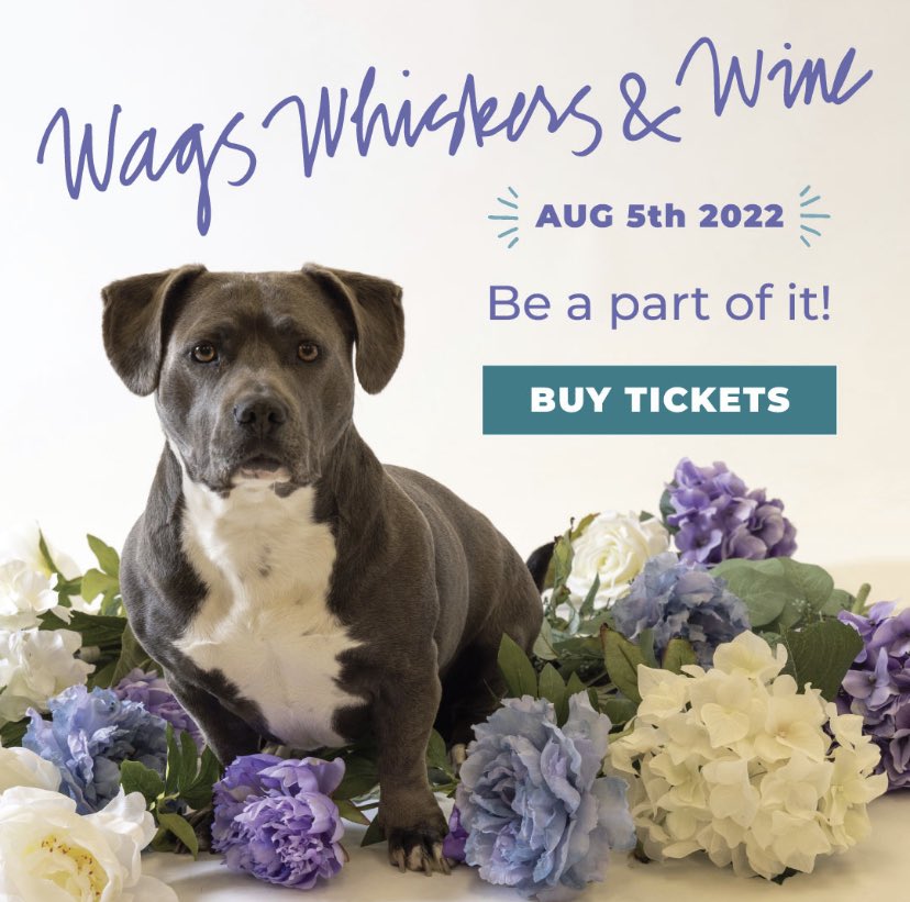 There are still some tickets left for our Gala, Wags Whisker’s &amp; Wine – but they’re running low!! Don’t delay - get your paws on tickets today - 
humanesocietysoco.org/wags22