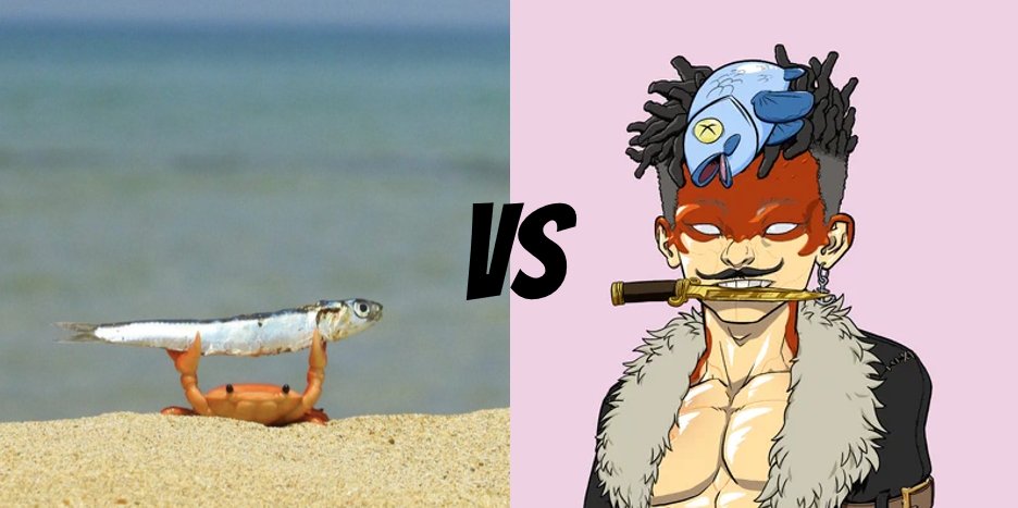 LostPiratesNFT's tweet photo. web2 me vs web3 me ๐ดโโ ๏ธ
#LostPirates #NFTCommunity #NFTs https://t.co/QI0yvwyAnt