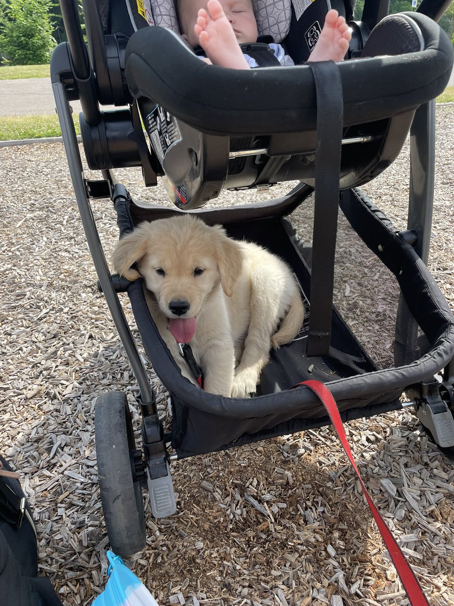 lindseyforney's tweet photo. @MrsMcAfeeShow I’m done, push me mom! https://t.co/L3mhVkI0YK
