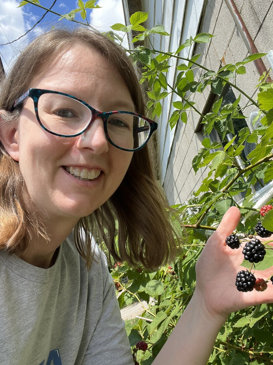 amandablloyd's tweet photo. Blackberries are starting to be ready! #Gardenselfie #Dolphindaysofsummer @DixieMagnet https://t.co/C7TwTgVKkX