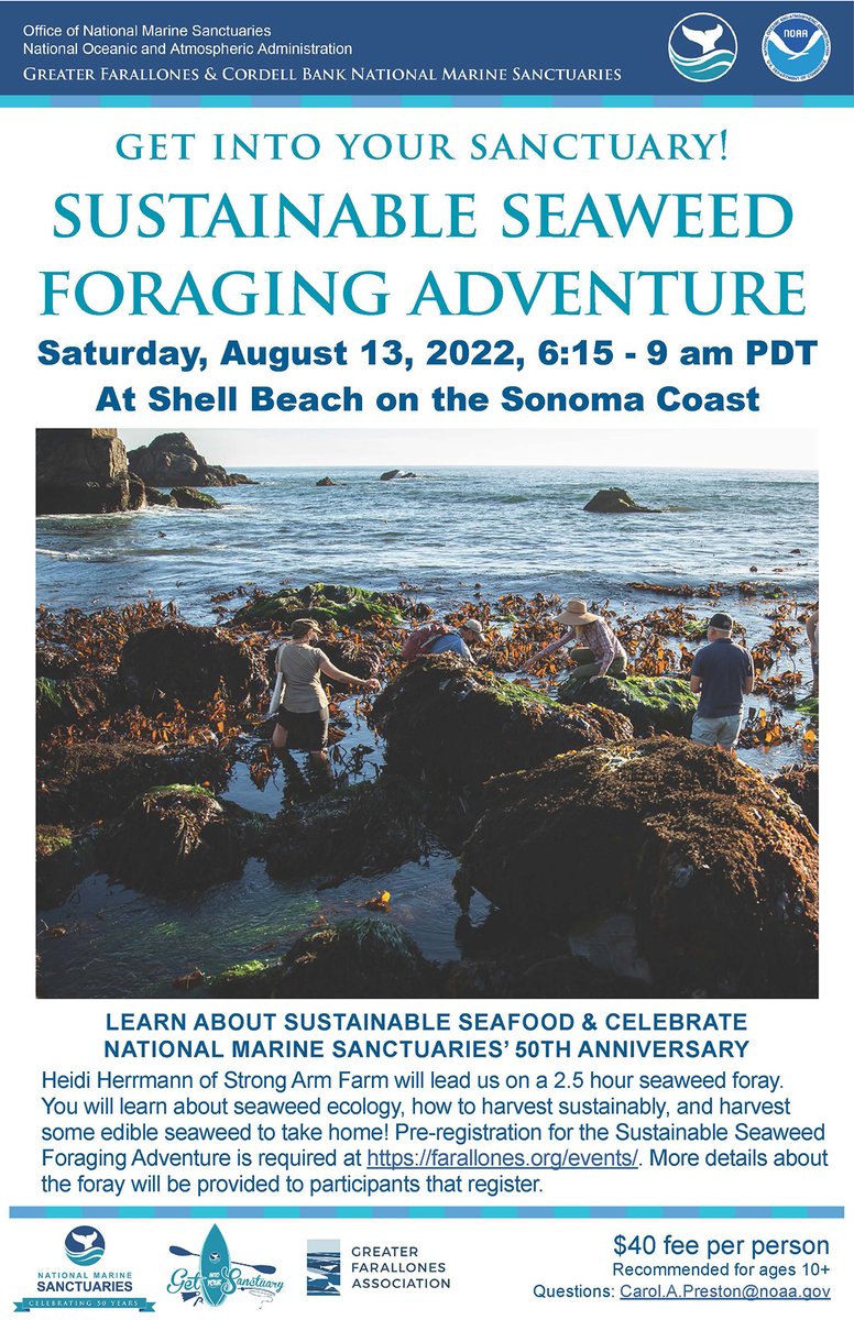 GFCBSanctuaries's tweet photo. Did you know seaweed is high in nutritional 🥗 value for humans? Get into your Sanctuary with us and learn about sustainable seaweed harvesting! Early risers 😳only, the tide waits for no one! 🌊 Register here: https://t.co/xF4ZzCmx6m #ExploreSpectacular #ILoveMySanctuary https://t.co/3yC0GYuchC