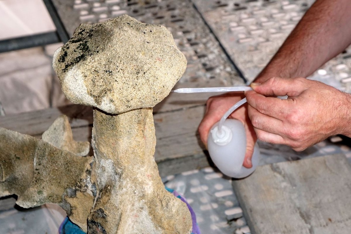 nanotrac's tweet image. How Silicate Nanoparticles Help Save Historic Buildings: Constructions made of porous rock may weather over time. TU Wien (Vienna) researchers have now.… dlvr.it/STrMfN | AZoNano @AZoNano #Nanotechnology #Silicate #Nanoparticles #HistoricBuildings #AZoNano