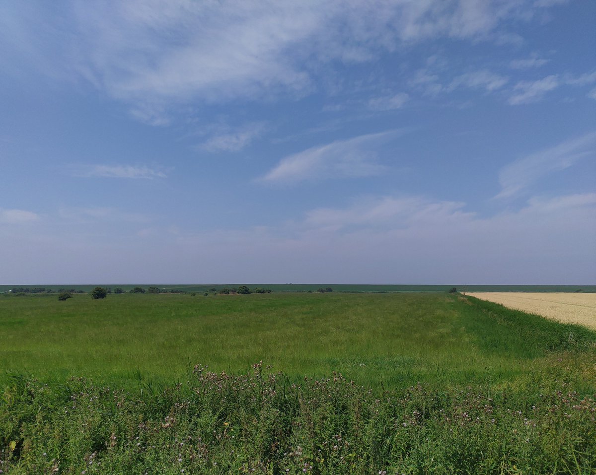 RaumZeitSein's tweet photo. Ich bin an der friesischen Nordseeküste angekommen und war bis eben wandern und belüfteten.

Die Felder, Wiesen und Waldflecken erinneren mich an meine drei Jahre in Schwerin mit meinen Freund_innen.

#Dorum
#NationalparkNiedersächsischesWattenmeer
#Landwirtschaft
#Naturschutz https://t.co/9Xue0JWu4b