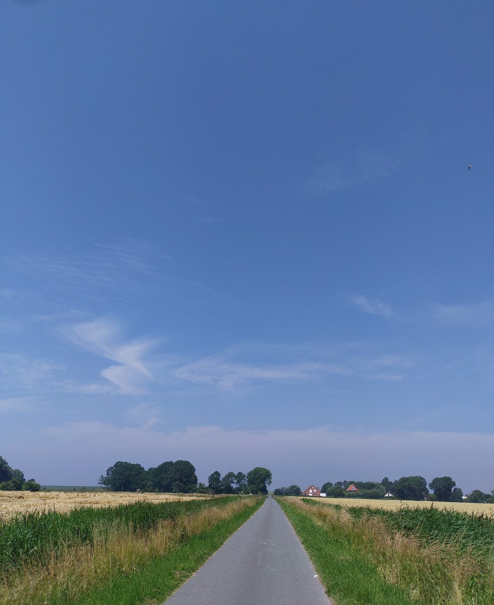 RaumZeitSein's tweet photo. Ich bin an der friesischen Nordseeküste angekommen und war bis eben wandern und belüfteten.

Die Felder, Wiesen und Waldflecken erinneren mich an meine drei Jahre in Schwerin mit meinen Freund_innen.

#Dorum
#NationalparkNiedersächsischesWattenmeer
#Landwirtschaft
#Naturschutz https://t.co/9Xue0JWu4b
