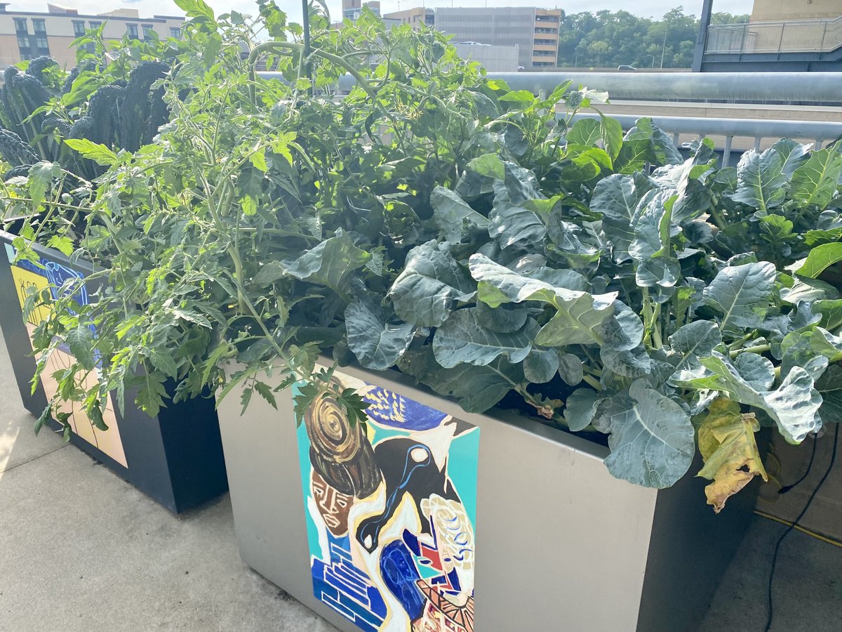 marietculver's tweet photo. Guess what I found at the top of #PNCPark @Pirates #UrbanGarden 🥦🫑🥬🥕🍅@DuquesneLight #LetsGoBucs ⚾️#PittsburghNative #HomePlateClub https://t.co/6BCQFr0Rjj