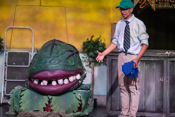 BTRCCinfo's tweet photo. 🎭Our first Little Shop of Horrors show is currently in progress but there is still time to buy tickets for tomorrow and Friday.

🎟️They are available from @Bly_Mechanics priced from £4.50

⏰The shows start at 7pm https://t.co/3d5RjCkyRg