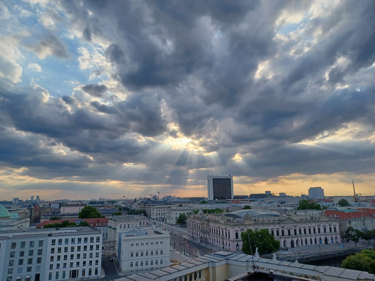 Deborah Cole tweet media