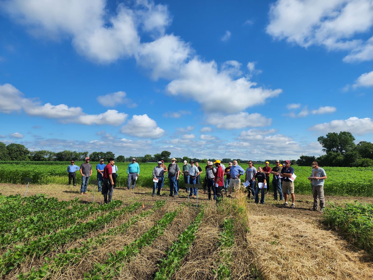 UMNweeds's tweet photo. 2022 UMN Weed Management Field Day... all, thanks for attending! Great turnout and good discussions. A lot of background work done by the #UMNweeds team members. 👏 👏  Also, big thanks to Mr. Nicolai and RROC farm staffs. @UMNExt https://t.co/Jgty98fV0a