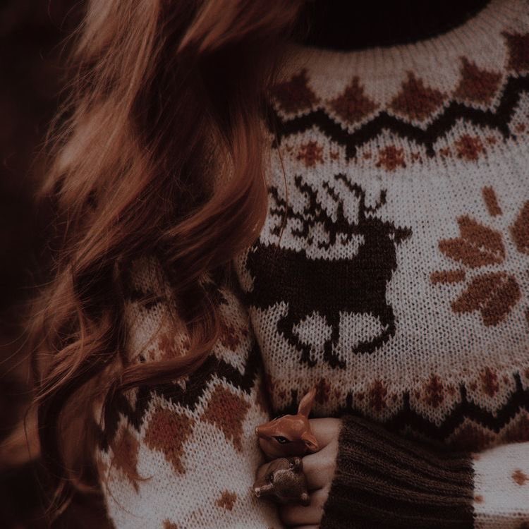 𝑳𝒊𝒍𝒚 𝑬𝒗𝒂𝒏𝒔 tweet media