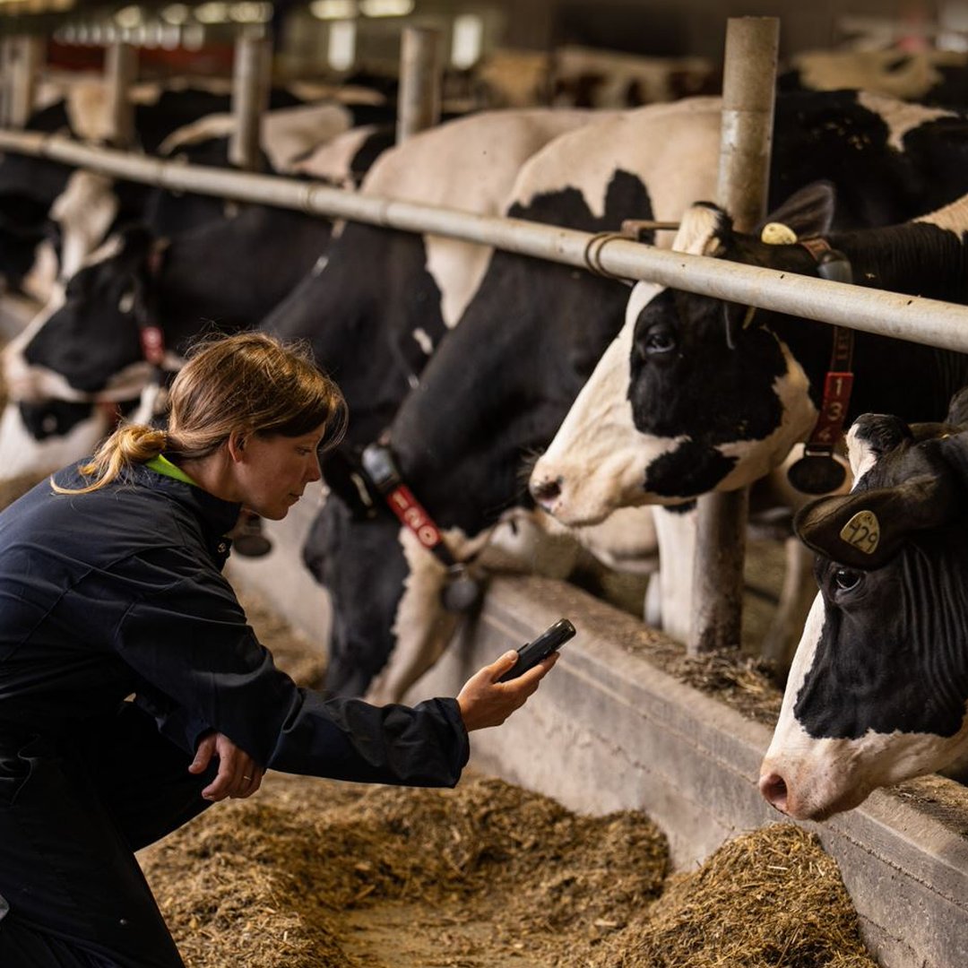 «Nous sommes fiers de travailler avec des producteurs laitiers engagés dans de nombreuses régions du Canada. » - Sophie Neveux, Conseillère en bien-être animal et qualité du lait chez Agropur.

Pour en savoir plus 👉 agropur.com/fr/notre-prome…
