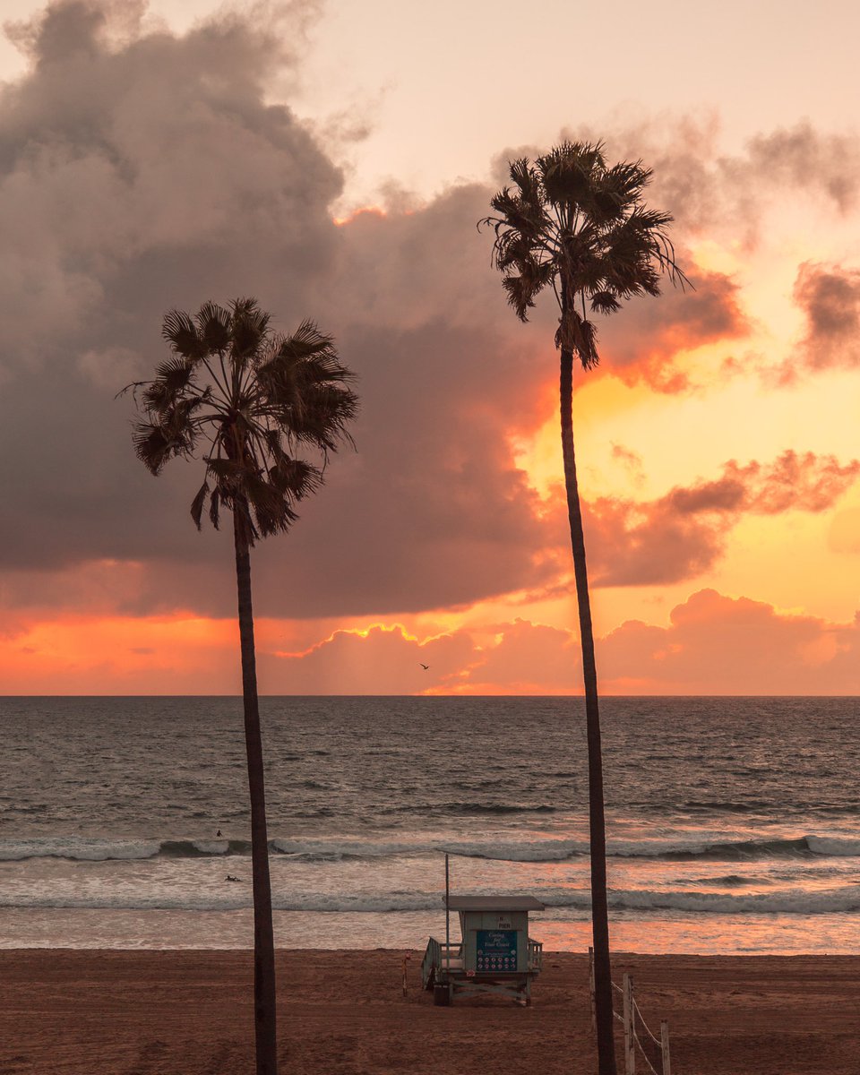 deb0's tweet image. 🌴🌅🌴