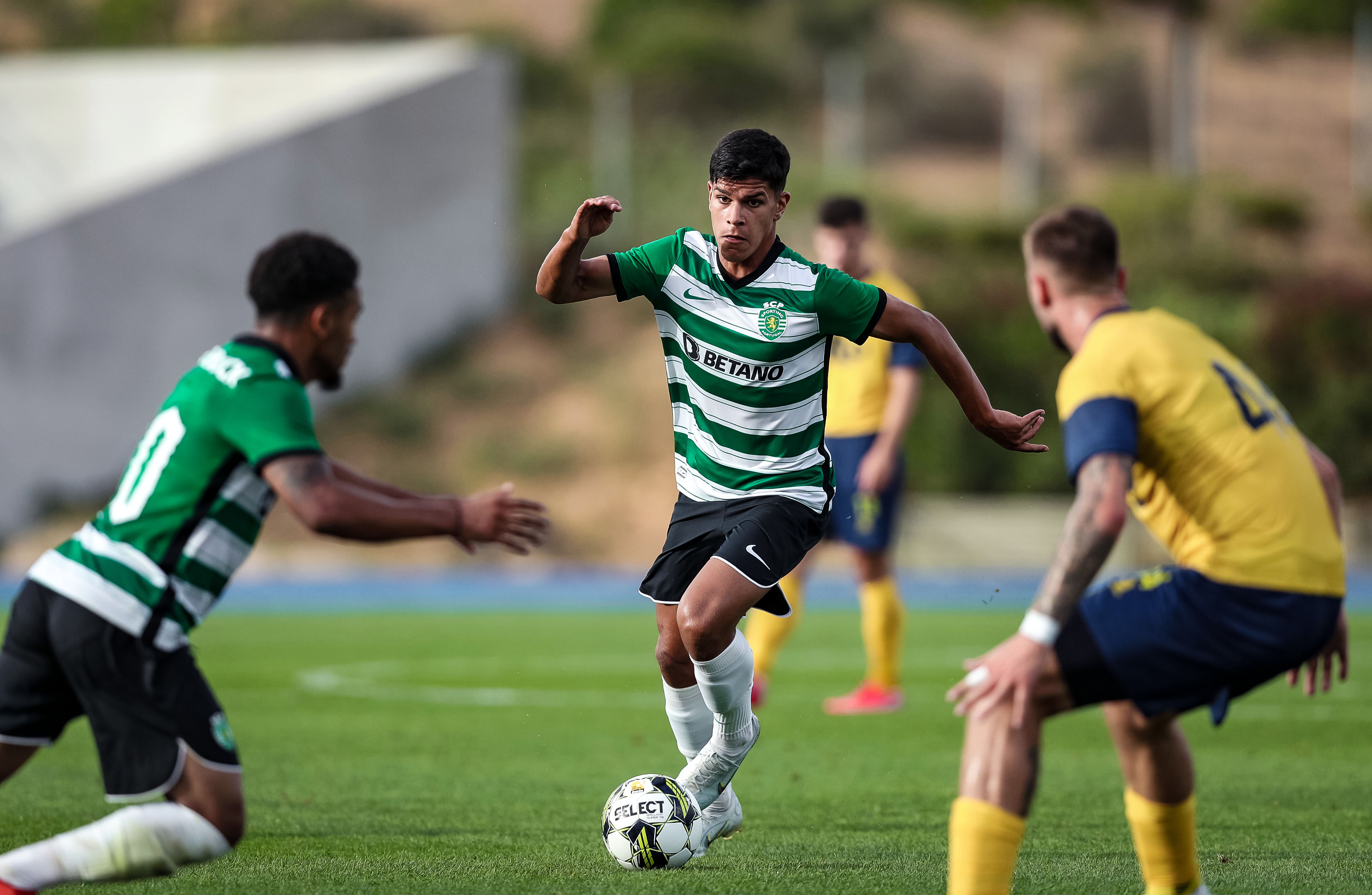 Sporting CP on X: 𝗥𝘂𝗴𝗶𝗱𝗼 pronto para mais logo 🦁 Já aqueceram a voz  para o jogo de hoje, Leões? 😎 #DiaDeSporting #OndeVaiUmVãoTodos   / X