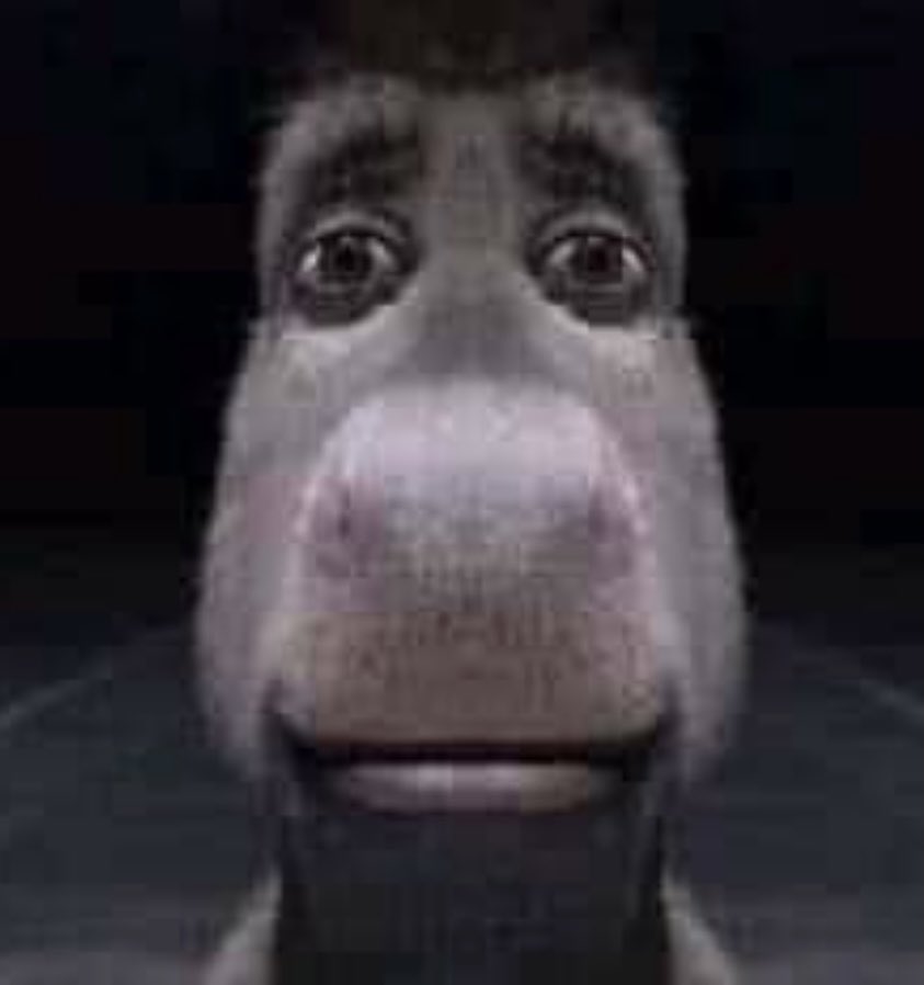 mostlyliterate's tweet image. #LoveIsland
The islanders staring at Becky Hill trying to figure out who she is and why she’s just started singing: