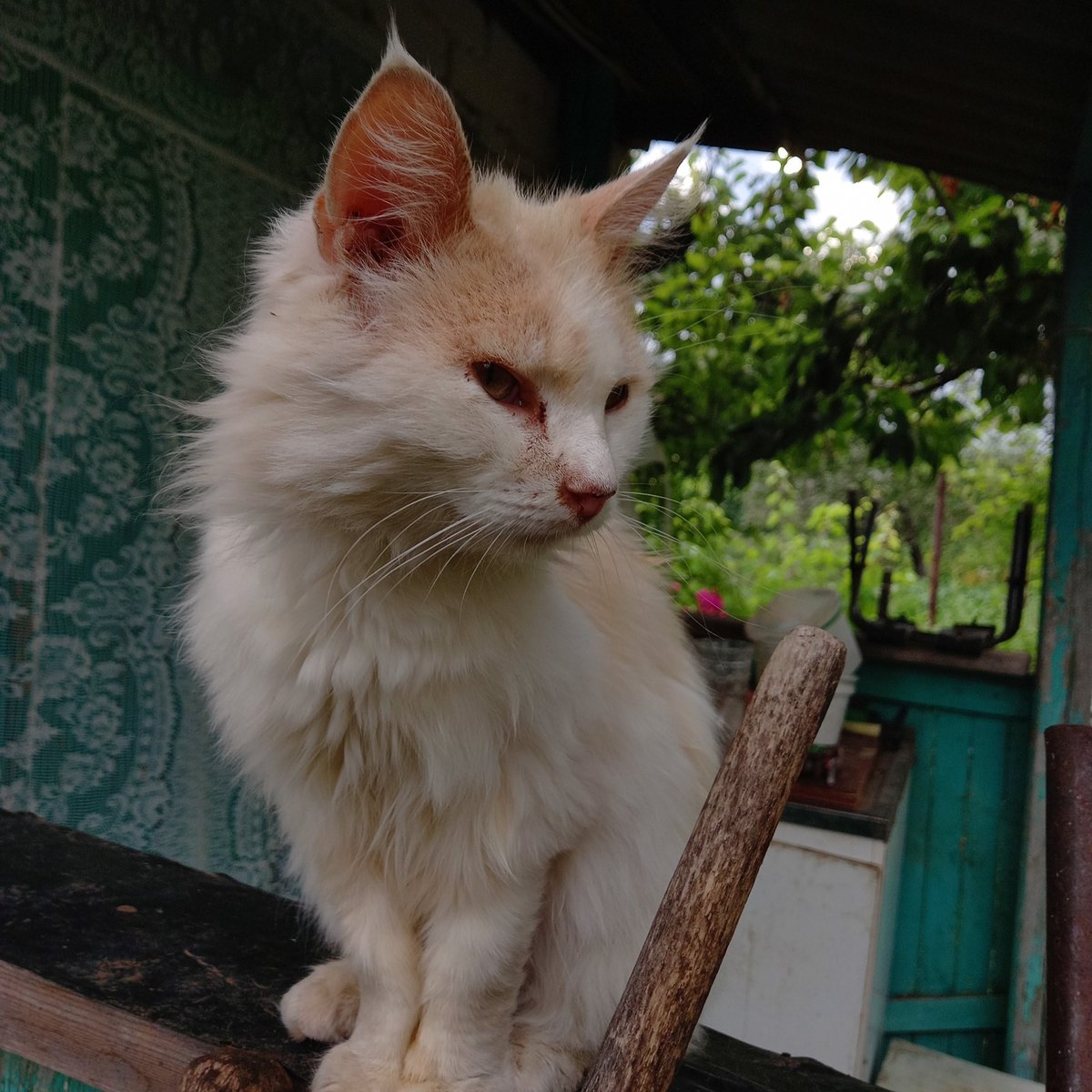 крекер tweet media