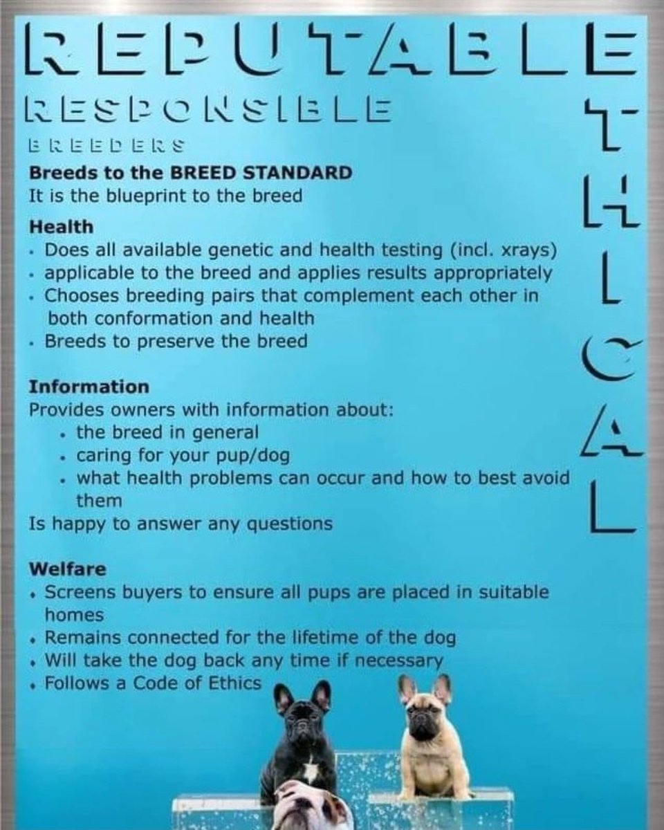 SSchnauzerRRB's tweet photo. If they don't know #1 and don't do #2, stay away! The only acceptable place for appropriate breed health testing is the OFA. Anything else is inaccurate and substandard. https://t.co/9i8KM4pmrc