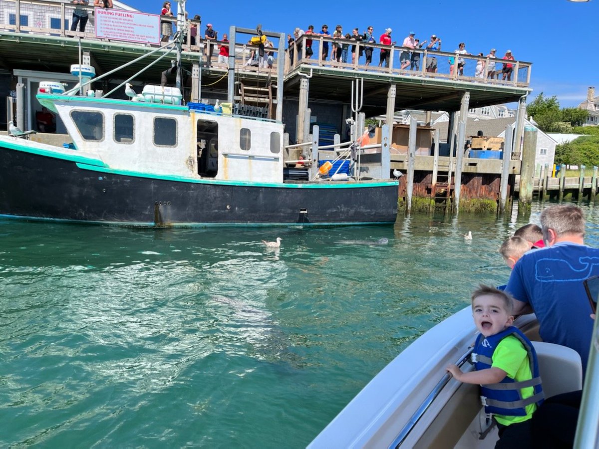 A Chatham Harbor & Seal Tour is just one of the many tours we offer! Check us out (link in bio)! Thanks for the pic Captain @biondiaiden @Wequassett @HarwichChamber @chathamchamber2 #boatingcapecod #chathamharbortour #SealTours #whalewatching #capecod #thegoodlifeonthewater