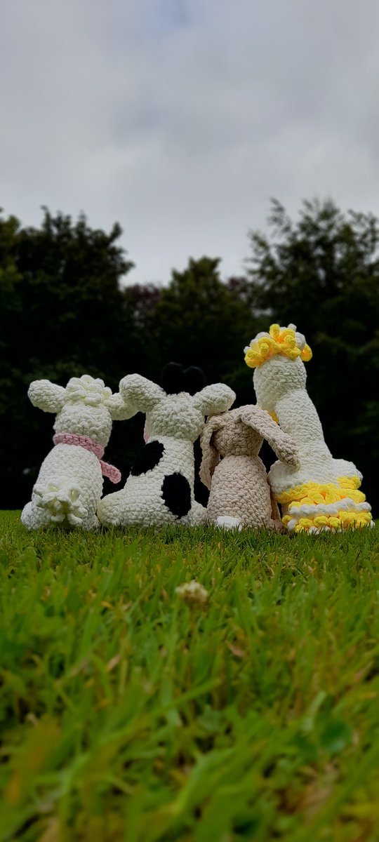 The Wonky Woolins tweet media