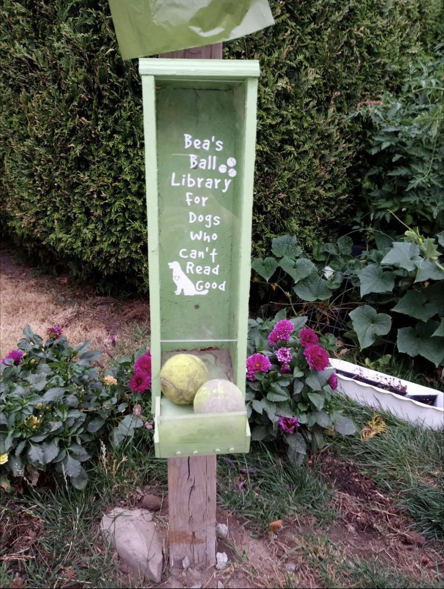 LucyACarson's tweet photo. And @genki_ferguson has just informed me of a branch up in Vancouver! 💓 https://t.co/8QINwcCJsy