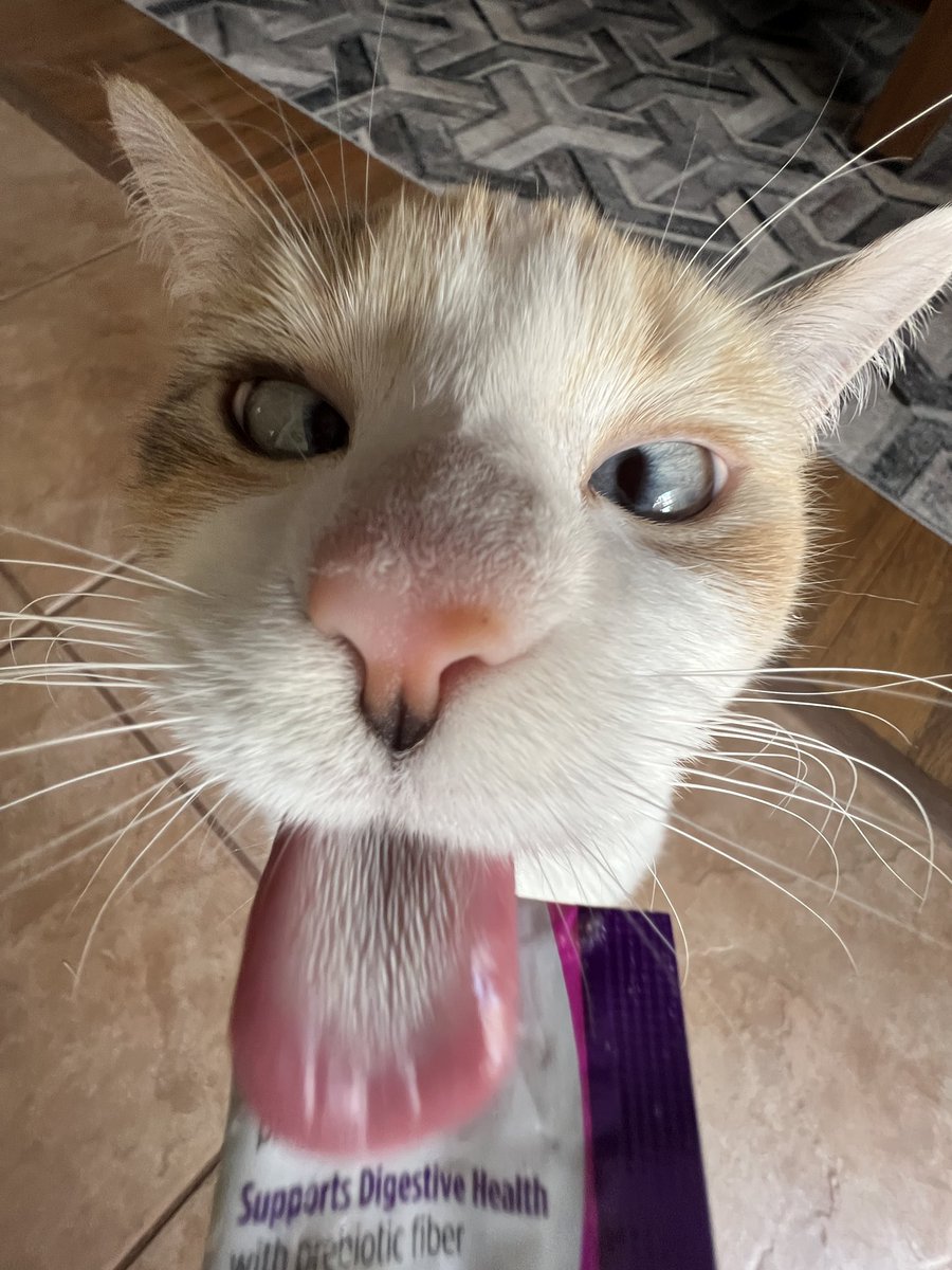 Gogurt