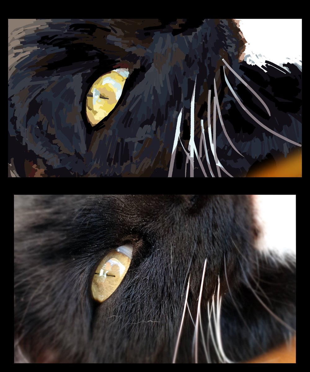 banmitbandit's tweet photo. still not happy with the closeup but ive been struggling with it for an hour and thats as long as i'm getting myself struggle with it
anyways i love these cats https://t.co/7dWZJhiYiQ