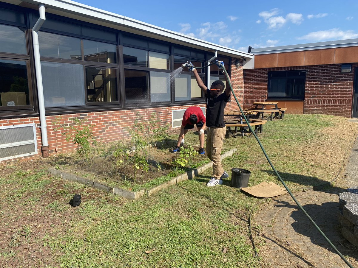 Gabriella Manetta tweet media