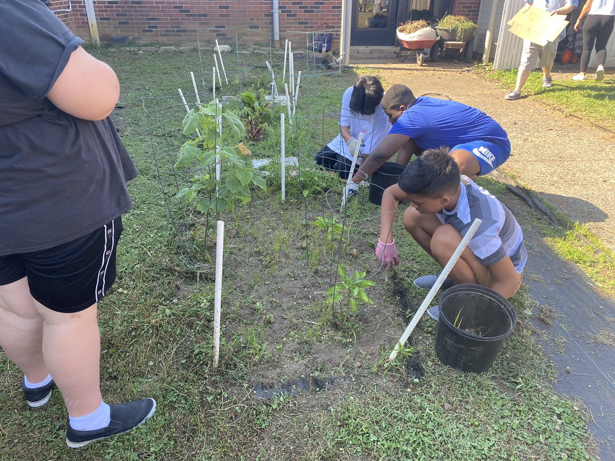 Gabriella Manetta tweet media