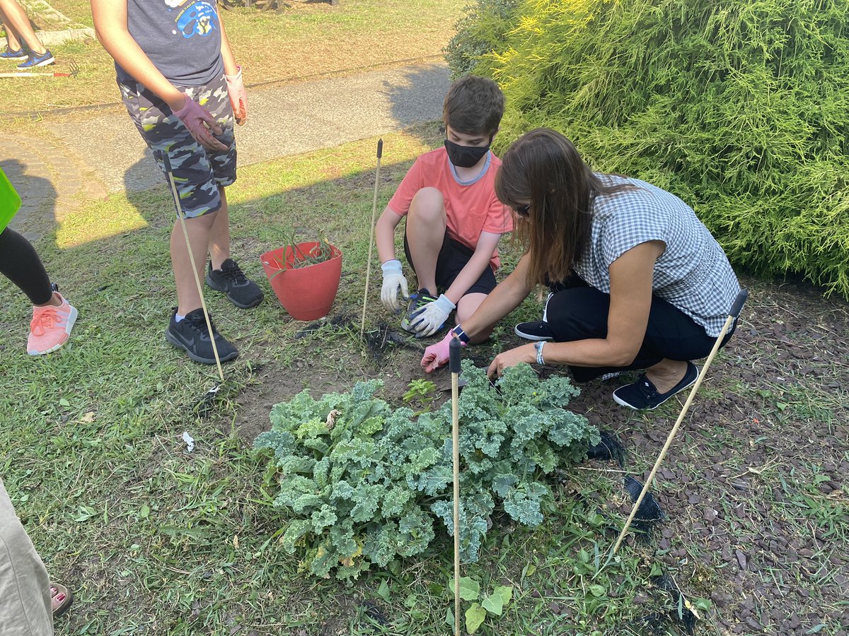 Gabriella Manetta tweet media