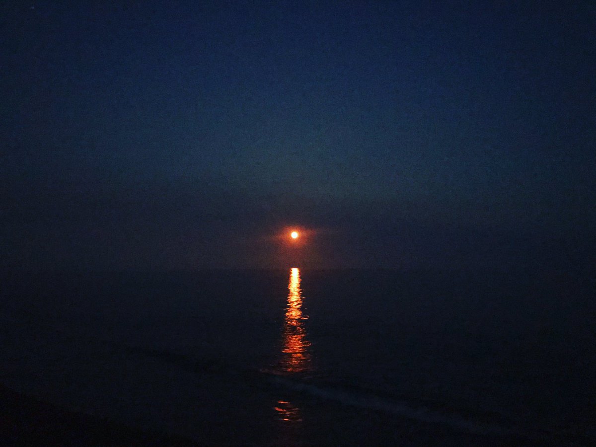 Vannacht heb ik gezwommen in de maan en de zee. De zee zwart en zijdezacht. De maan vol en bloedrood. En ik een gewichtloos stipje in de zoute hemel. 
Ik denk dat het zo voelt, deel zijn van alles. 🌕