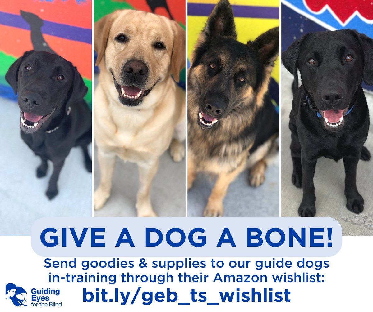 GuidingEyes's tweet image. 🐶 Give a dog a bone! 🐶
As you peruse those Prime Day deals, don't forget to send our guide dogs in-training some goodies &amp;amp; supplies through their very own Amazon wishlist: bit.ly/geb_ts_wishlist
📷: Deanna Lentini