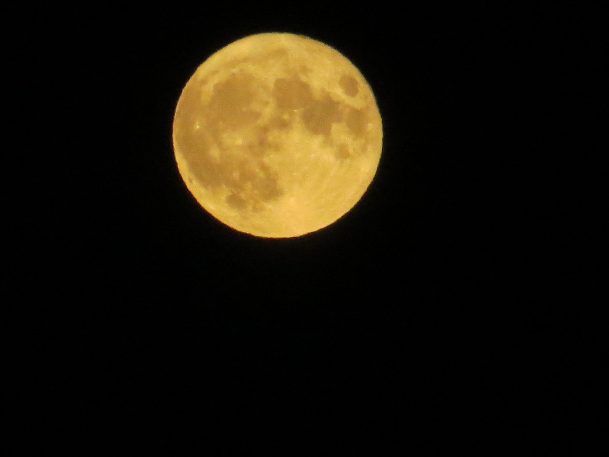 spuddoc's tweet photo. Buck Moon 2022. Supermoon. Biggest of the supermoons in 2022. #moongeek #moonshot #frommydeck #PEI https://t.co/A4QLn6AKJT