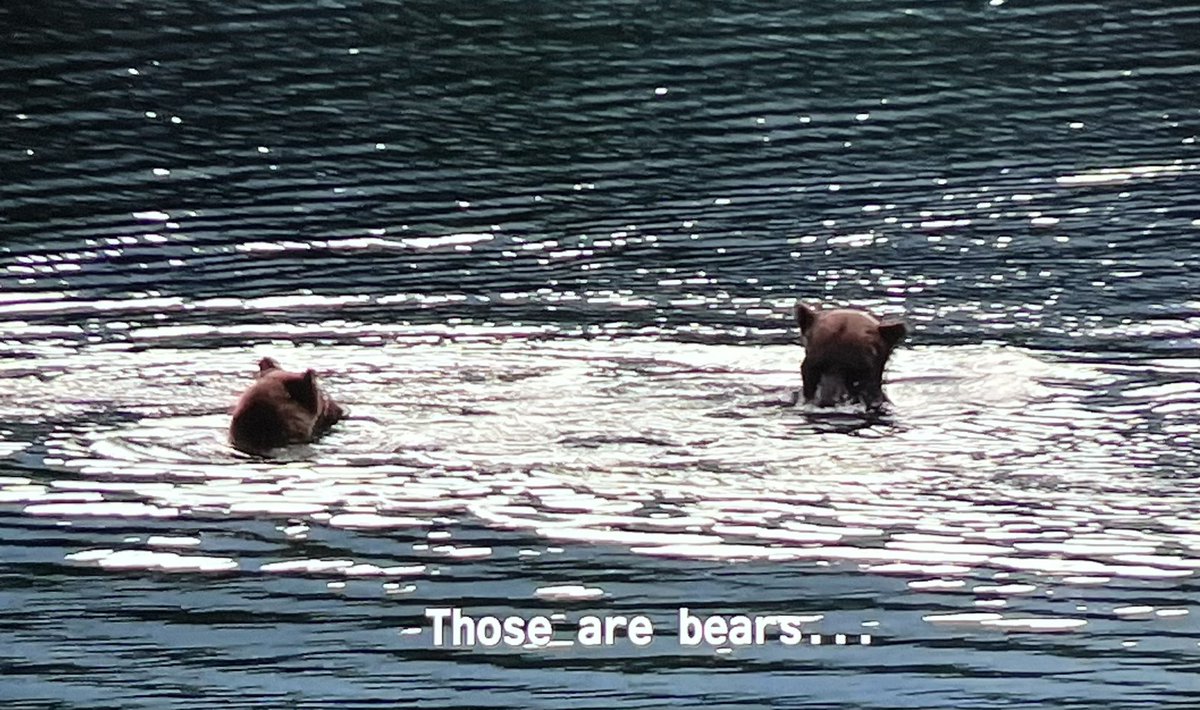 menaverse_'s tweet photo. @1ChaseMor hey bear! https://t.co/MAPeFyyf7Y