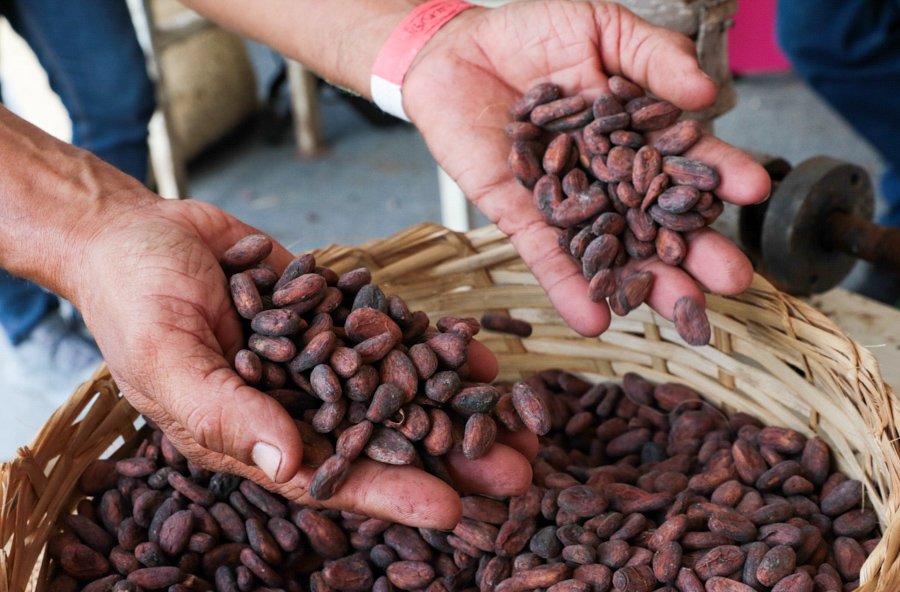 NicolasMaduro's tweet photo. ¡Buenas Noticias! Venezuela crece, se diversifica y avanza, con el emprendimiento, el trabajo, la dedicación y el amor. Así lo vimos en la 1era ExpoFeria “Cacao y Ron Miranda 2022”, que combina la ciencia y la tecnología, para la producción. ¡Todo va saliendo bien! https://t.co/UWMnrE970H