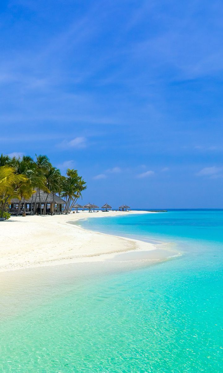 바람쏘기 (@windshooting) on Twitter photo 