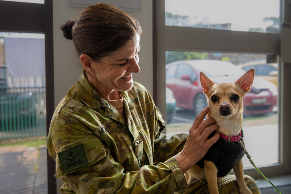 Defence Australia tweet media