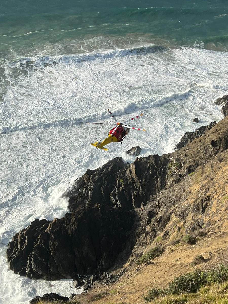 Surf Lifesaving FNC tweet media