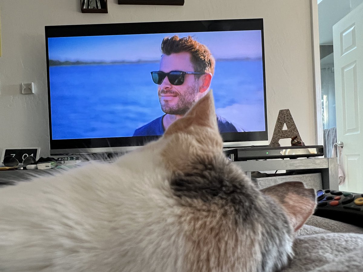snacktimey's tweet photo. My calico and I checking out Chris Hemsworth’s #SharkBeach on Disney Plus. https://t.co/kZL8vL0LtS
