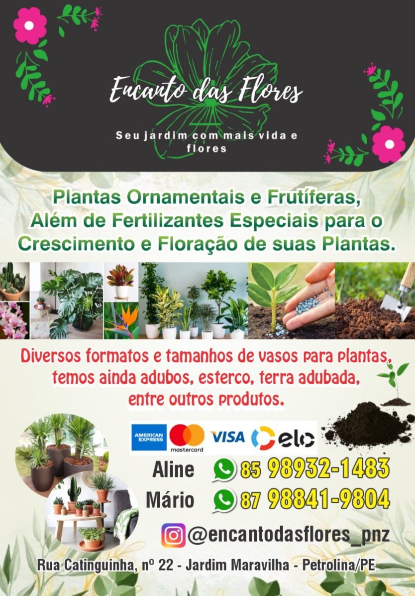 #lojadeplantas #plantas #petrolina #LulaNo1ºTurno