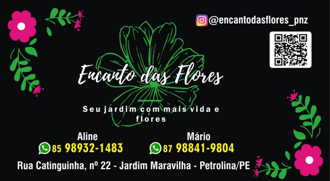 #lojadeplantas 
#plantas 
#petrolina