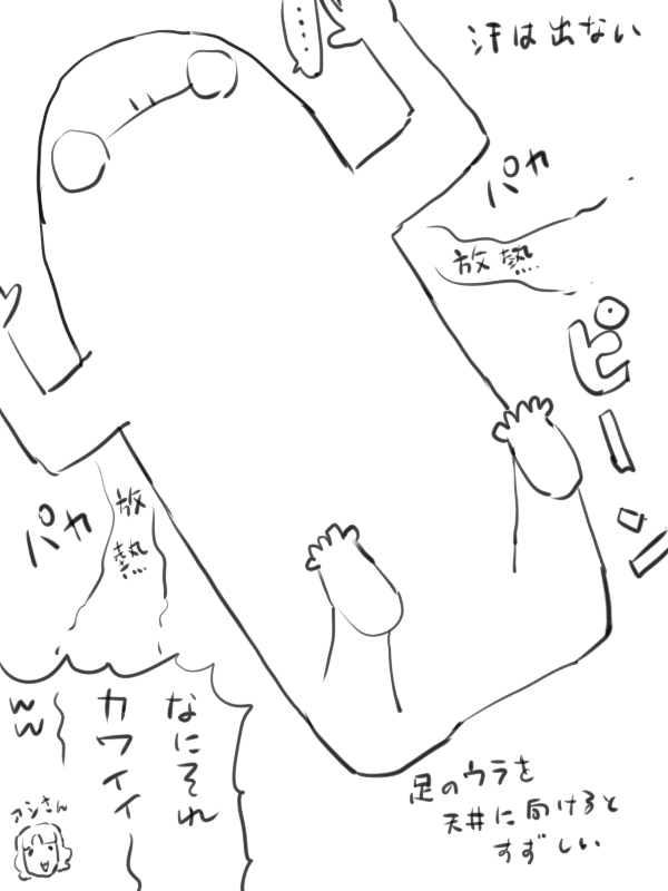 昨日は大して気温高くもなかったのに、暑くてダルダルだった
これが更年期障害…(かどうかはよくわかりまてん 