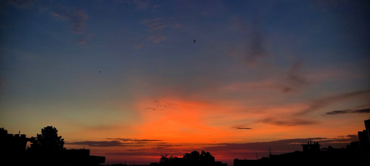 deepakdilse's tweet photo. भोर...
Day-3
#morningseries #mobilclick #Prayagraj https://t.co/xBLqfmsO3p
