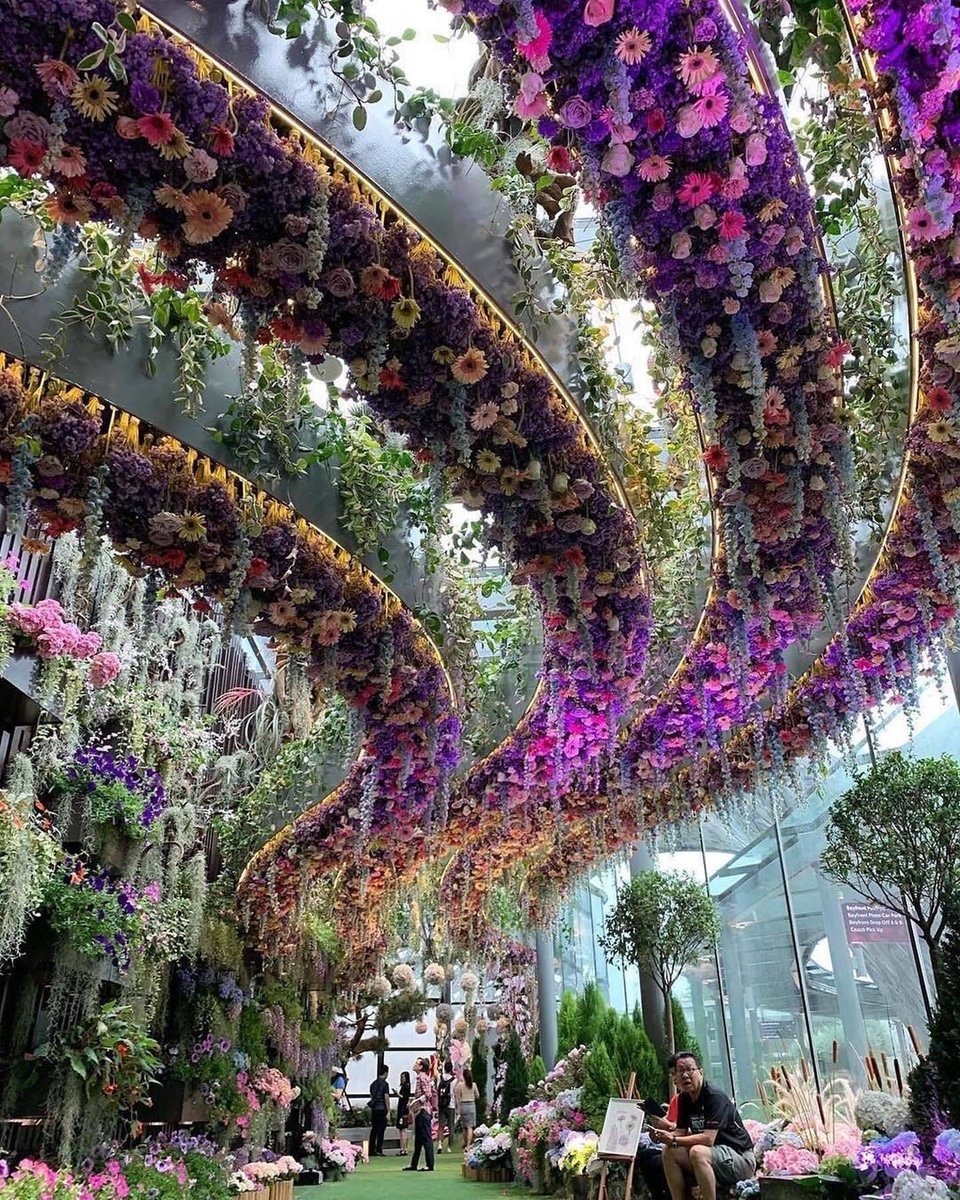 RajaCuti's tweet photo. A dome of flowers at Gardens By The Bay, Singapore 💜💜💜💜

#RajaCuti #flowers #garden #flowergarden #floatinggarden #floating #percutian #singapore https://t.co/xHTvVsvVbV