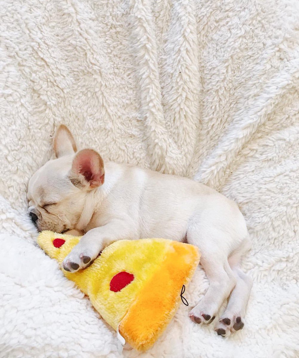 TG ☕️ tweet media